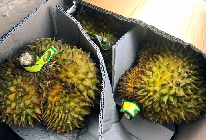 Hà Nội: Xếp hàng giữa trưa nắng tranh mua 17 tấn sầu riêng ế