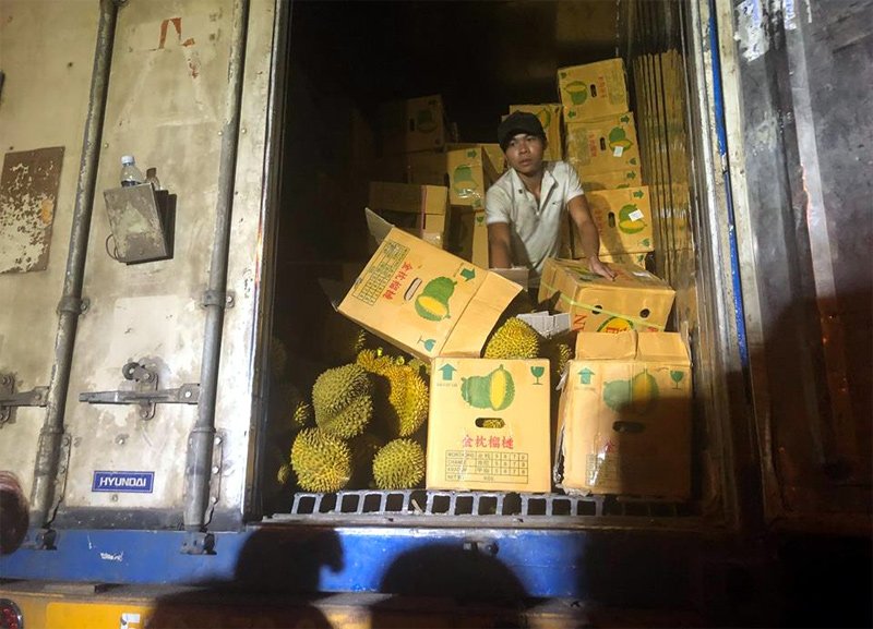 Hà Nội: Xếp hàng giữa trưa nắng tranh mua 17 tấn sầu riêng ế