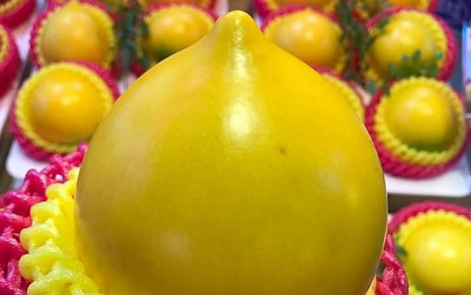 Lạ lùng vú sữa vỏ vàng đắt gấp 10 lần vú sữa Việt gây sốt thị trường