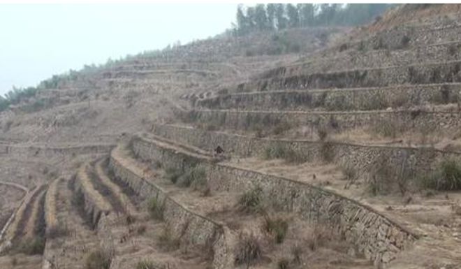 TQ: Bị đánh đến chết vì đòi nghỉ bán hàng đa cấp