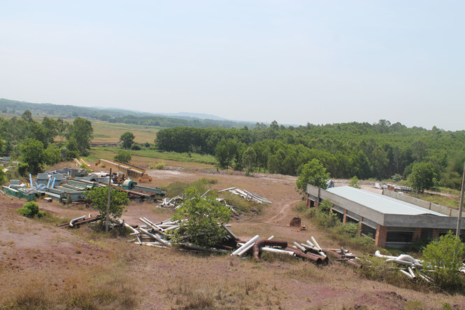 Khai tử dự án bột giấy và giấy ngàn tỉ