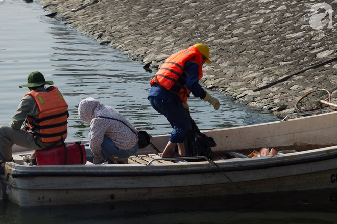 Hà Nội: Cá lại chết nổi trắng mặt hồ Hoàng Cầu