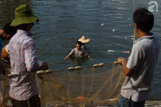 Hà Nội: Cá lại chết nổi trắng mặt hồ Hoàng Cầu
