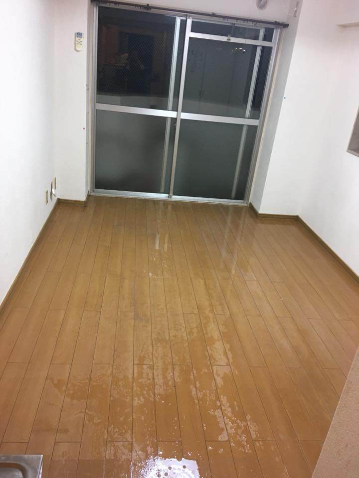 Xinh nhưng ở quá bẩn, nữ sinh tặng luôn cho chủ nhà chục trứng cùng núi rác trước khi đi