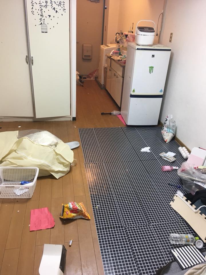 Xinh nhưng ở quá bẩn, nữ sinh tặng luôn cho chủ nhà chục trứng cùng núi rác trước khi đi