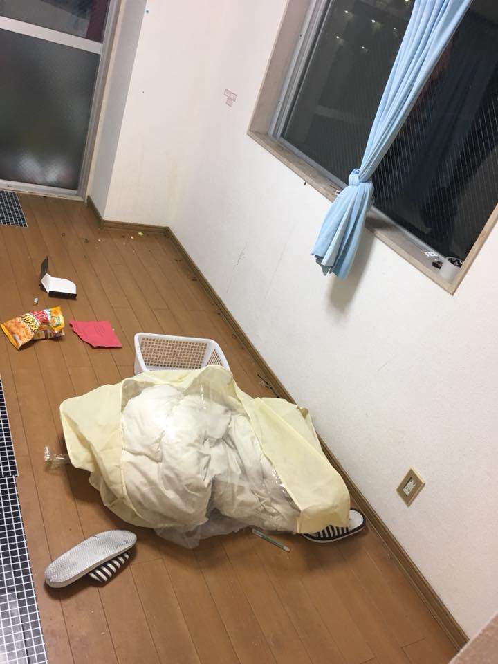 Xinh nhưng ở quá bẩn, nữ sinh tặng luôn cho chủ nhà chục trứng cùng núi rác trước khi đi