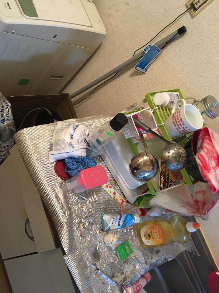 Xinh nhưng ở quá bẩn, nữ sinh tặng luôn cho chủ nhà chục trứng cùng núi rác trước khi đi