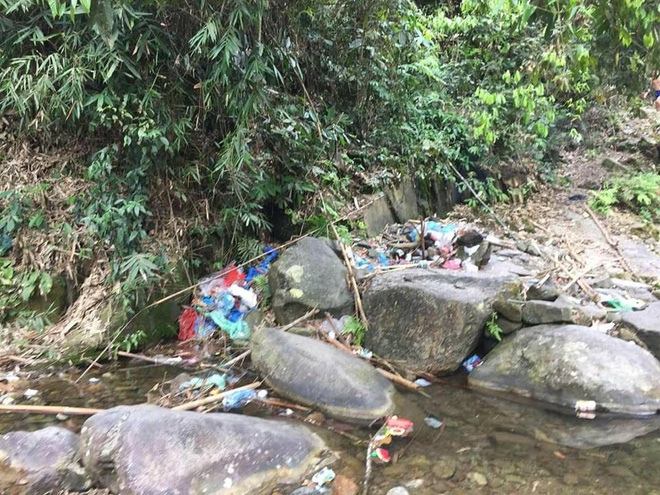 Dấu ấn trong rừng của nhóm bạn trẻ khiến những phượt thủ chân chính xấu hổ