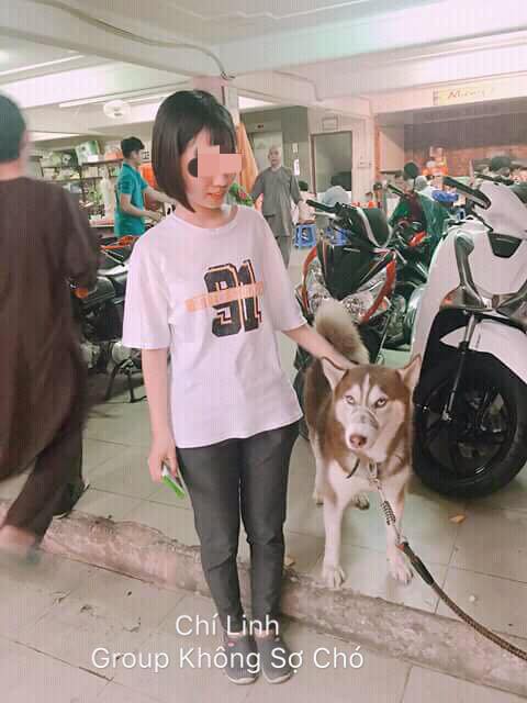 Cô gái ngây thơ tin câu nó hiền lắm không cắn đâu của chủ chó để rồi nhận cái kết đớn đau