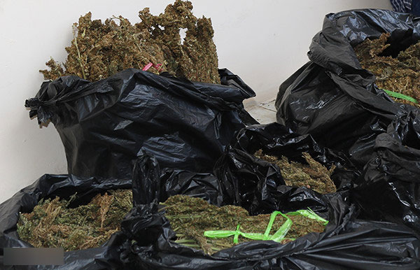 Phá đường dây buôn cần sa ở miền Tây