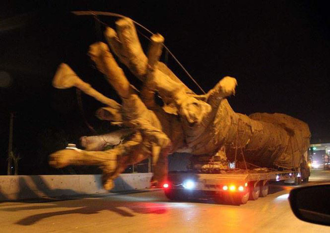 Đại gia có vợ bị bắt cóc đòi 10 tỉ tiền chuộc là ai?