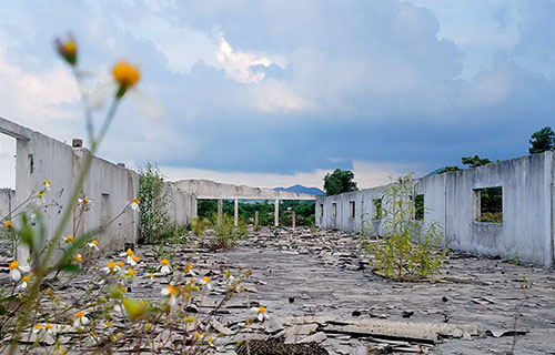 Trung tâm sản xuất giống chăn nuôi gần 20 tỷ đồng bỏ hoang