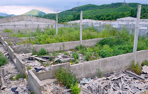 Trung tâm sản xuất giống chăn nuôi gần 20 tỷ đồng bỏ hoang