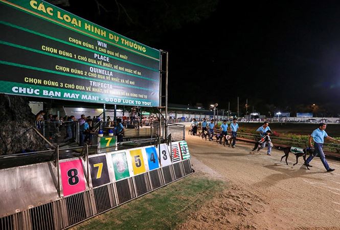 Đưa cá cược thể thao vào luật nhằm chống thất thoát ngân sách