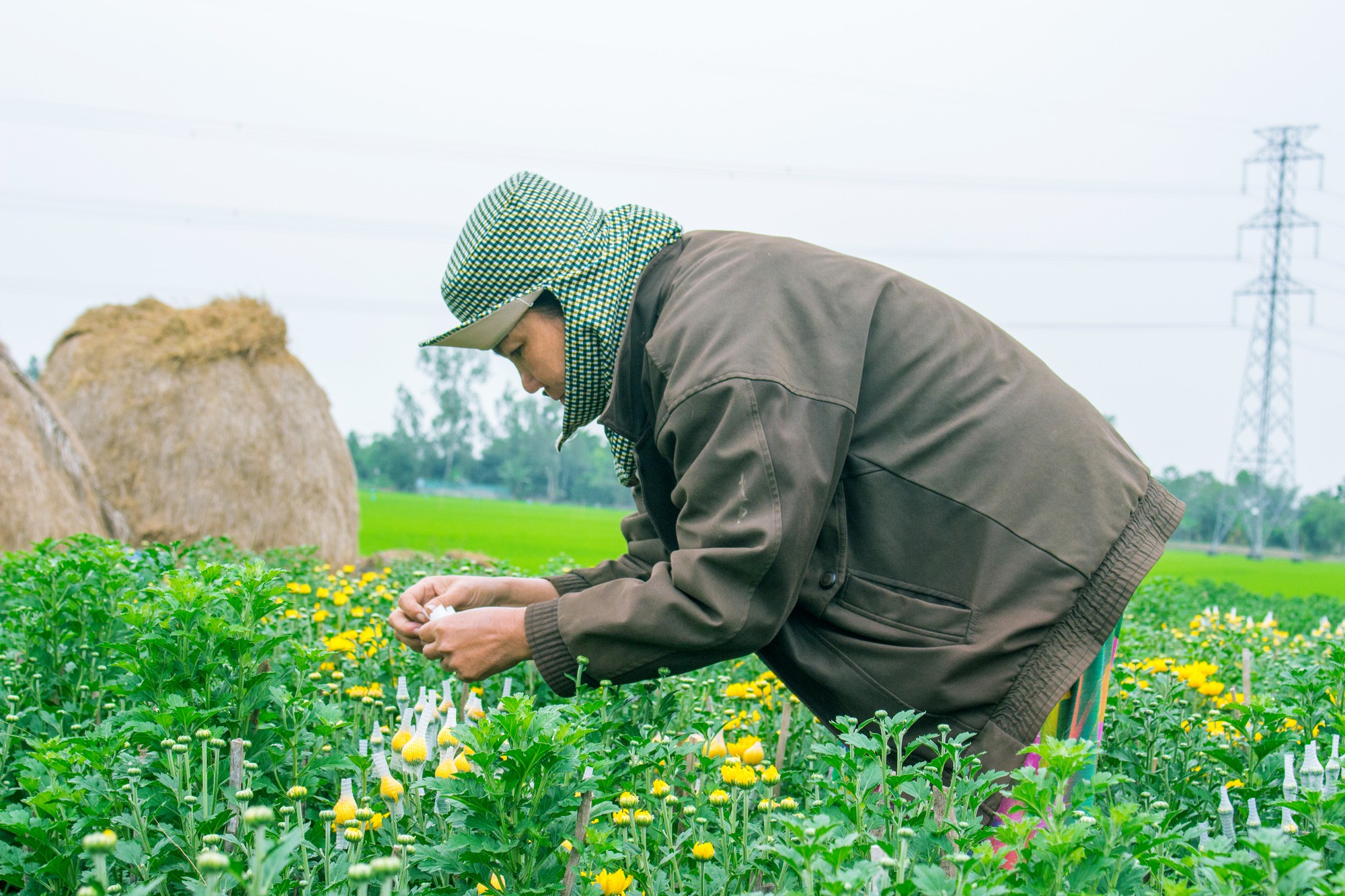 Nữ sinh mặc áo dài, lội ruộng chụp ảnh với cha trong ngày bế giảng: Mình chẳng ngại gì khi cha mẹ là nông dân