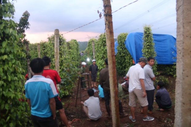 Người đàn ông tử vong bất thường với nhiều vết bầm tím tại rẫy hồ tiêu của gia đình