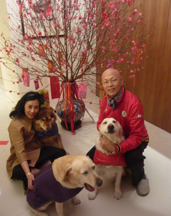 Chuyện tình đẫm nước mắt của đại minh tinh Hong Kong: Cả đời chạy trốn tình yêu, thập tử nhất sinh mới nhận ra người bên cạnh là chân ái