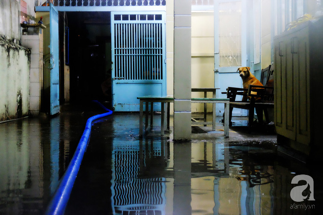 Sài Gòn: Mưa lớn kéo dài nhiều giờ, đường phố thành sông khiến xe máy, ô tô chết máy la liệt trong đêm