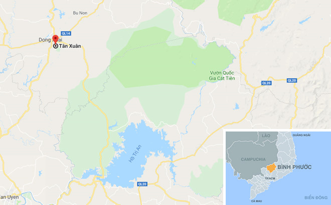 Xe tải tông sập quán cà phê, nhiều người thoát chết