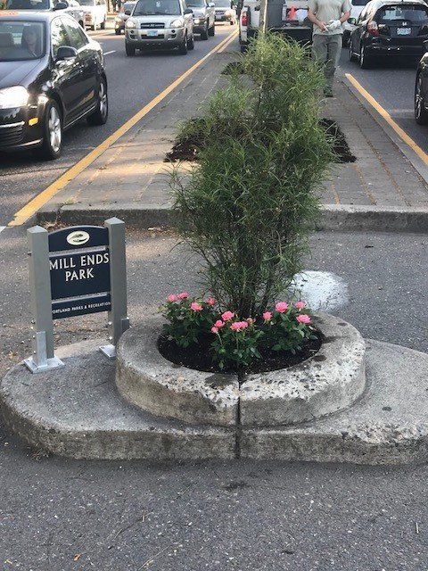 Công viên bé nhất thế giới: rộng chưa đầy 1 mét nhưng được cả thành phố nâng niu