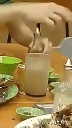 Tội cho chàng trai ấy: Nỗ lực dọn dẹp lắm nhưng vẫn hậu đậu làm đổ bể hết chén bát ở phút thứ 89!