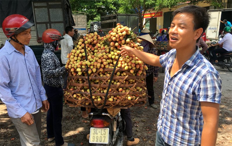 Tin đồn vải 10 ngàn/kg: Chỉ có ăn quả sâu, quả còi hạng bét