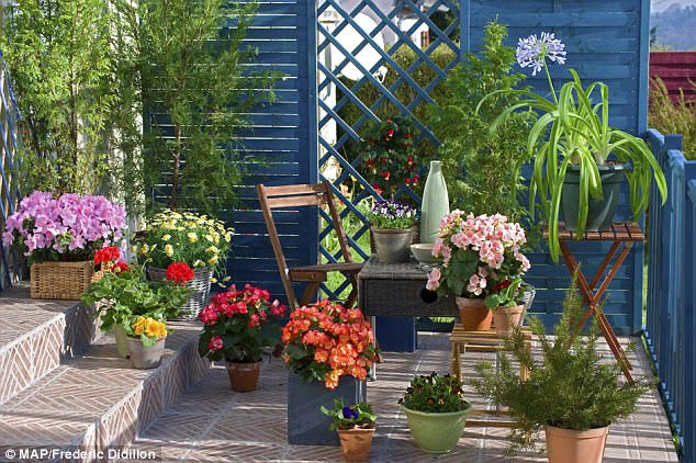 Mở cửa phòng ngủ, nàng dâu tức nghẹn chứng kiến cảnh khó tin