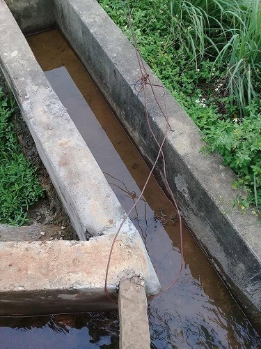 Bé trai bị điện giật chết khi mang nước cho mẹ đi gặt