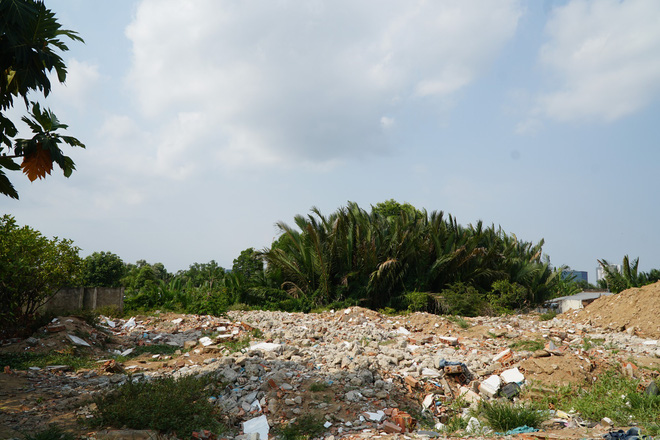 Những quyết định nào khiến ông Tất Thành Cang bị đề nghị kỷ luật?