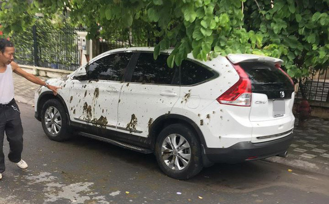 Hà Nội: Sáng sớm phát hiện xế hộp dính đầy phân trước cổng làng