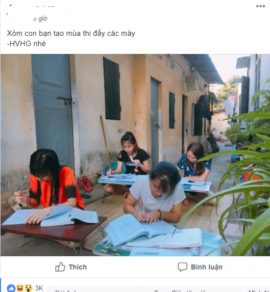 Cư dân mạng khoái chí với cách ôn thi tập thể ngoài trời như thời Khổng Tử