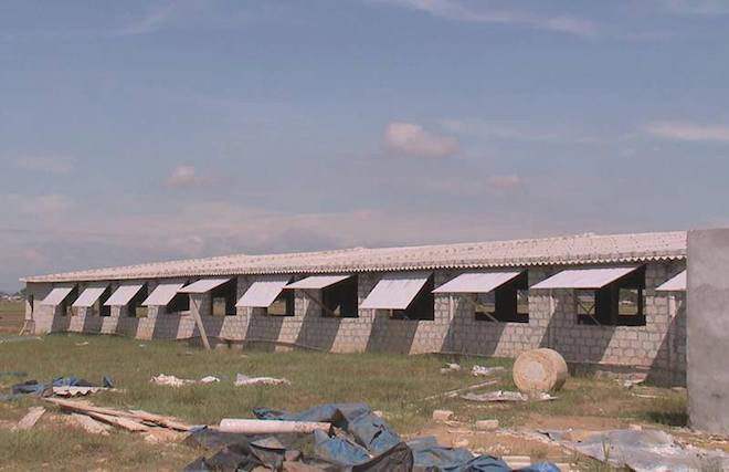 Điều tra kẻ đột nhập vào trang trại đâm chết 12 con lợn của người dân