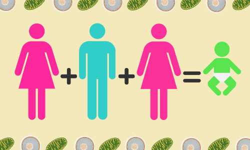 Em bé mang ADN của một ông bố hai bà mẹ