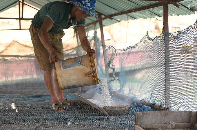 Người Thái nuôi vịt trời ở lòng hồ thuỷ điện Sơn La