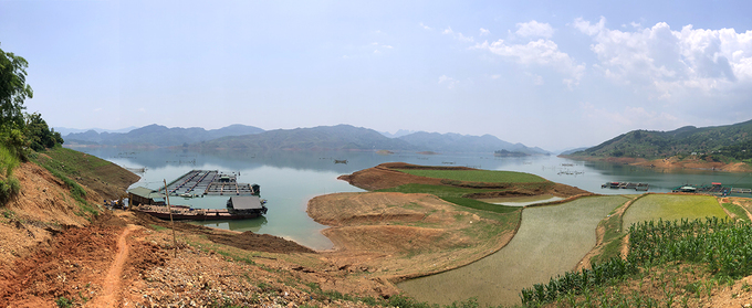 Người Thái nuôi vịt trời ở lòng hồ thuỷ điện Sơn La