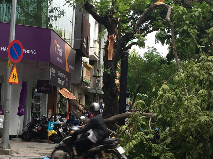 Lốc xoáy nhiều nơi ở Sài Gòn, cây xanh ngã rạp, 3 người trọng thương
