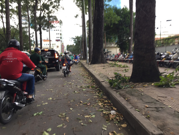 Lốc xoáy nhiều nơi ở Sài Gòn, cây xanh ngã rạp, 3 người trọng thương