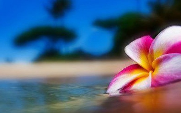 Thứ Năm của bạn (7/6): Cự Giải hãy sử dụng thời gian hợp lý Thứ Năm của bạn (7/6): Cự Giải hãy sử dụng thời gian hợp lý