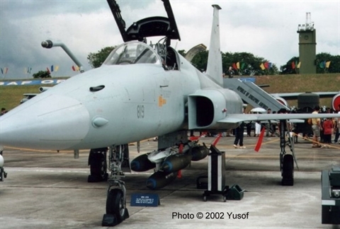 Máy bay Việt Nam có thể nhận từng hạ hàng chục F-22