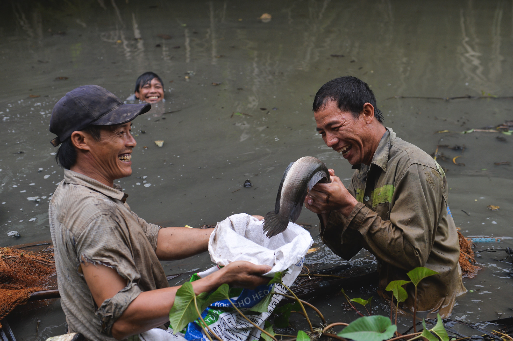 Cuộc sống nông dân giữa nơi xa hoa mới của Sài Gòn Cuộc sống nông dân giữa nơi xa hoa mới của Sài Gòn