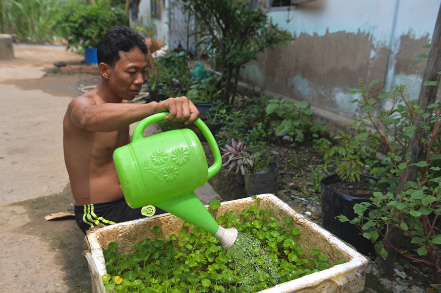 Cuộc sống nông dân giữa nơi xa hoa mới của Sài Gòn Cuộc sống nông dân giữa nơi xa hoa mới của Sài Gòn