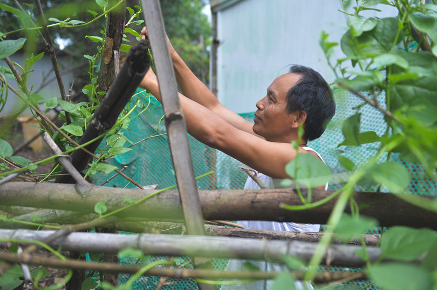 Cuộc sống nông dân giữa nơi xa hoa mới của Sài Gòn Cuộc sống nông dân giữa nơi xa hoa mới của Sài Gòn