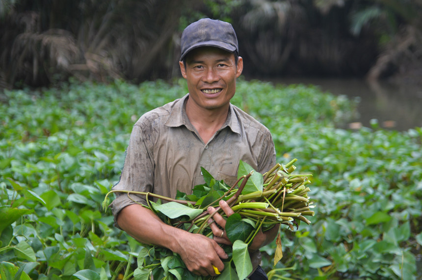 Cuộc sống nông dân giữa nơi xa hoa mới của Sài Gòn Cuộc sống nông dân giữa nơi xa hoa mới của Sài Gòn