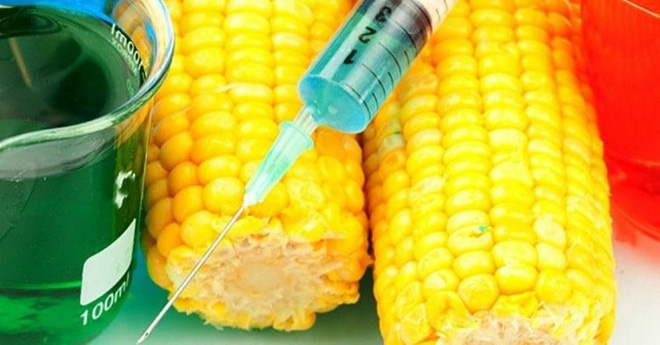 Đừng bao giờ mua trái cây có mã code bắt đầu bằng số 8?