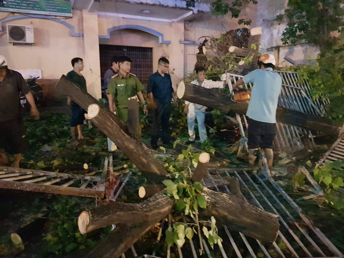 Cây xanh gãy đổ đè hàng loạt xe máy tại TP HCM