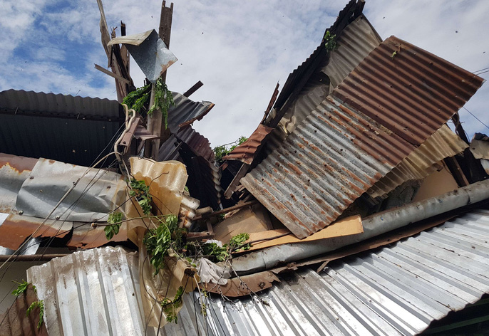 Cây xanh gãy đổ đè hàng loạt xe máy tại TP HCM