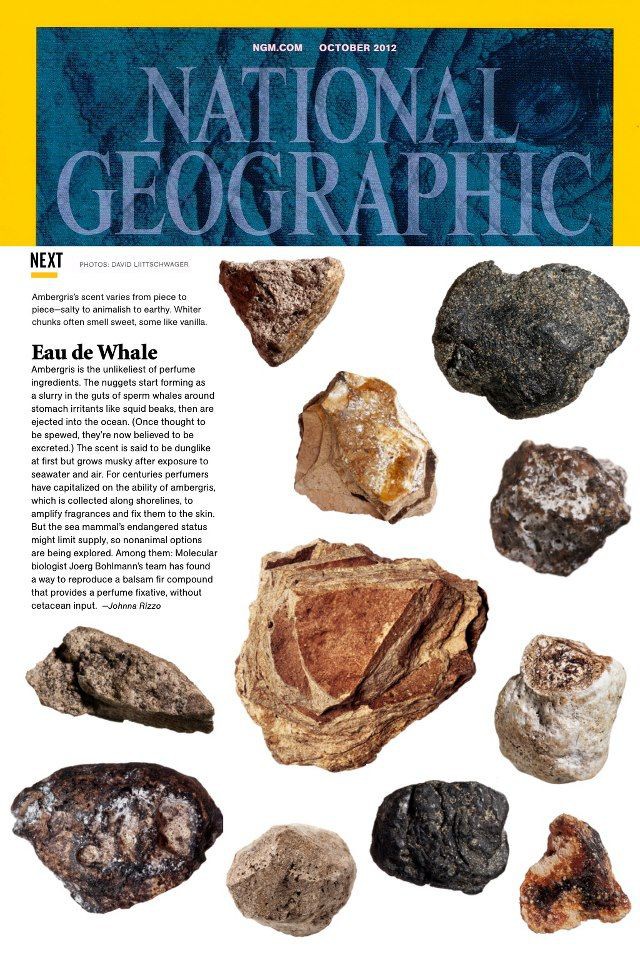 Bí ẩn hai viên đá cực đẹp tỏa hương thơm, trả 5 tỉ cũng không bán ở Gia Lai!