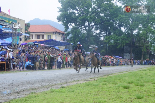 Bất chấp cơn mưa tầm tã, gần 50.000 lượt người đội mưa xem đua ngựa ở Bắc Hà