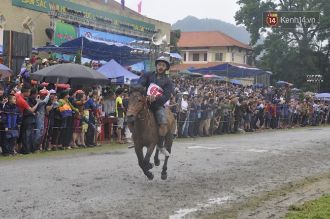 Bất chấp cơn mưa tầm tã, gần 50.000 lượt người đội mưa xem đua ngựa ở Bắc Hà