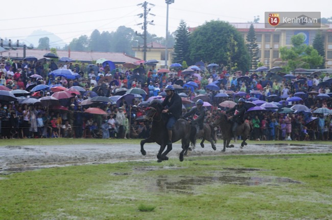 Bất chấp cơn mưa tầm tã, gần 50.000 lượt người đội mưa xem đua ngựa ở Bắc Hà